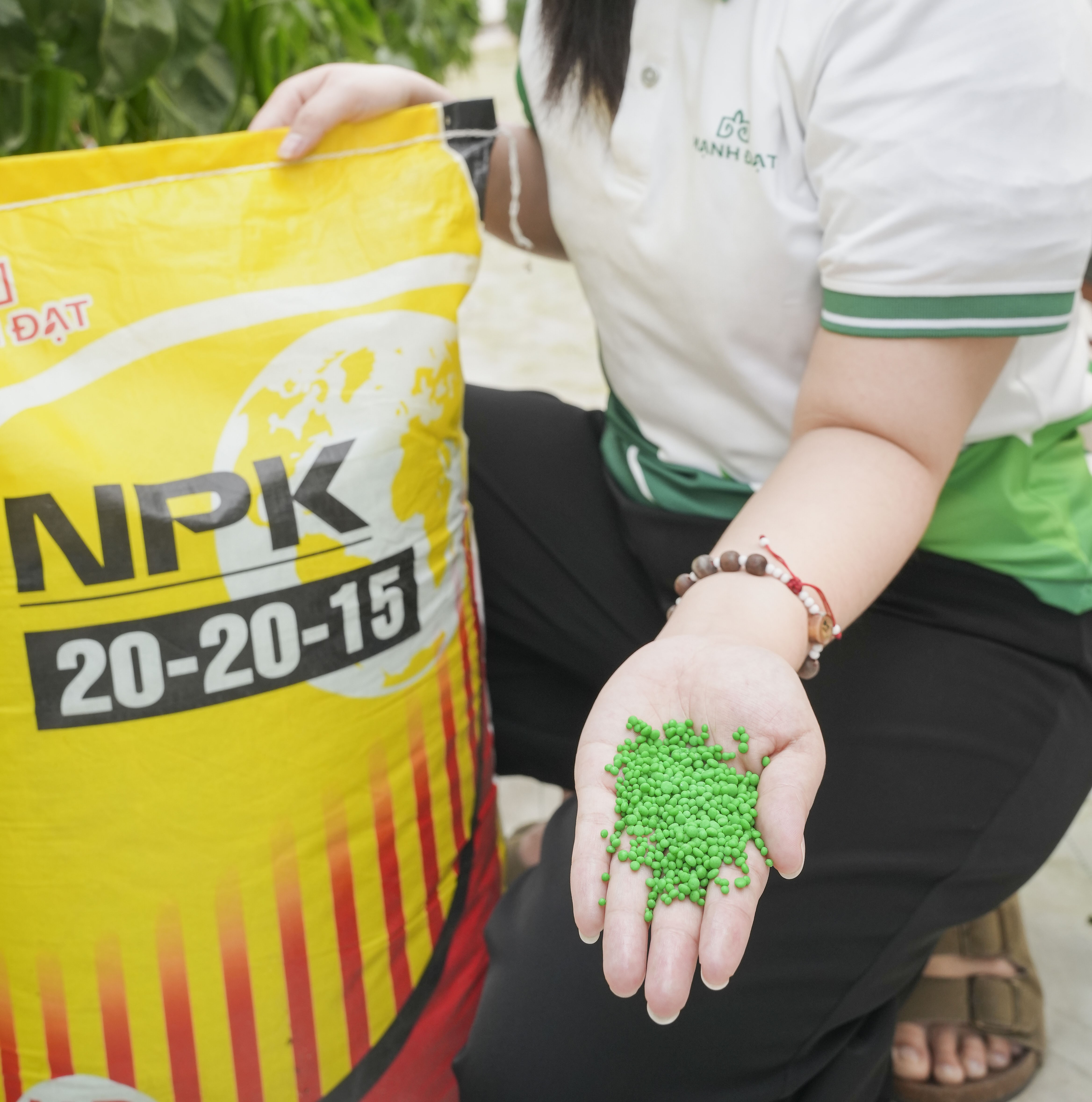 Phân đạm NPK 20-20-15 – Giải pháp dinh dưỡng toàn diện cho cây trồng năng suất cao