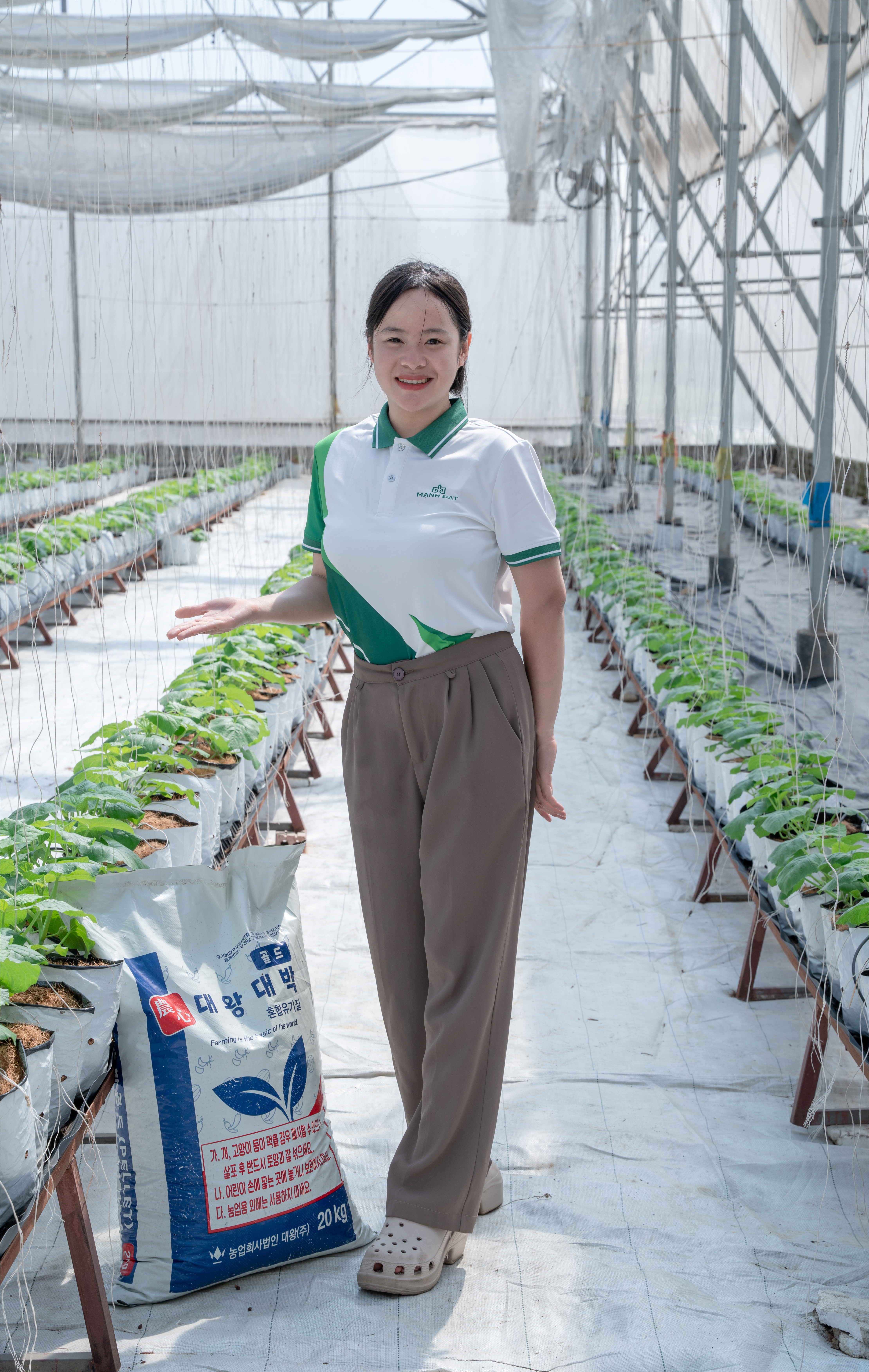 HIỆU QUẢ BẤT NGỜ TỪ PHÂN GÀ HÀN QUỐC TRONG NÔNG NGHIỆP CÔNG NGHỆ CAO 