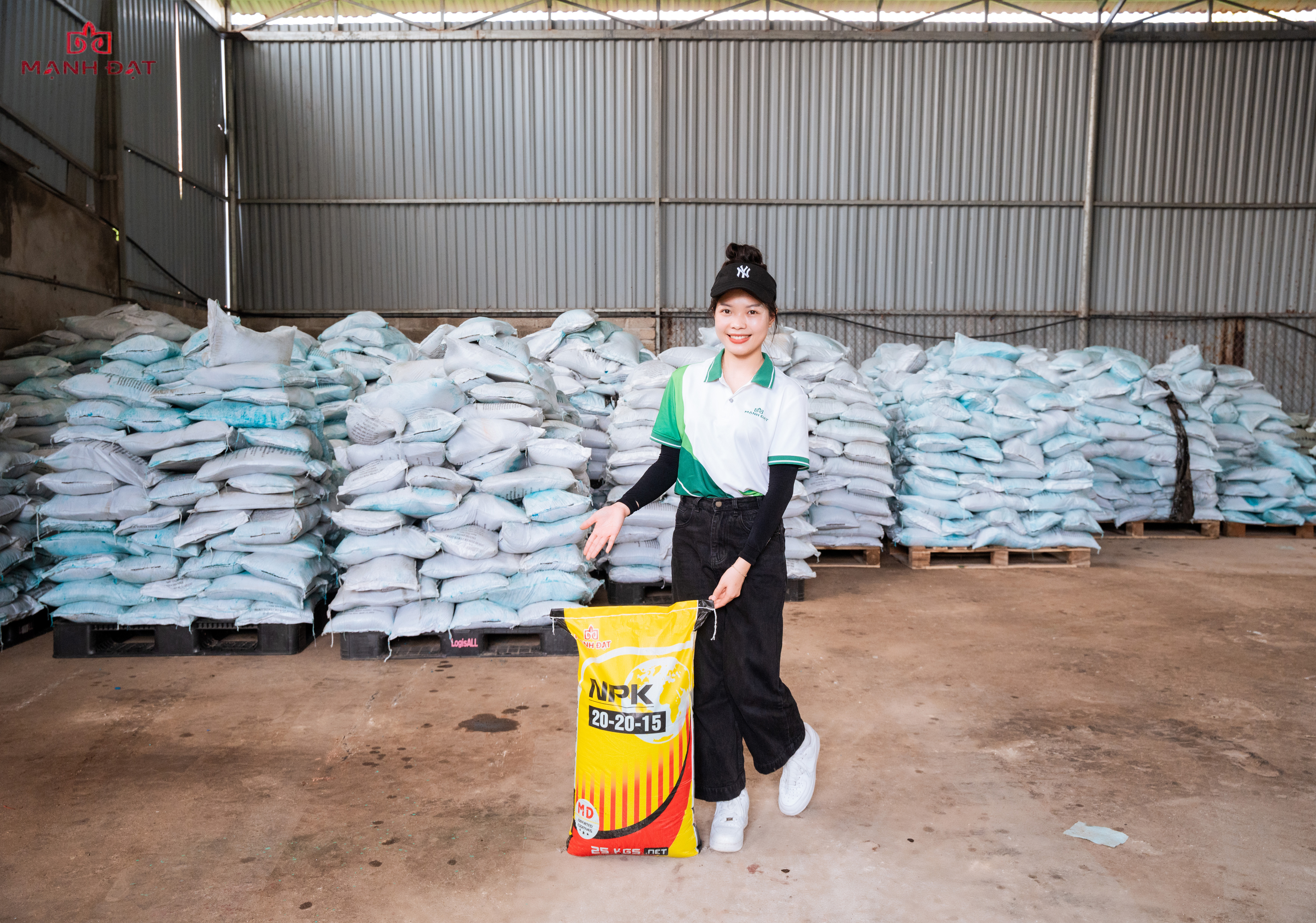 RAU XANH MƯỚT MẮT - CHỈ CẦN NPK 20-20-15 MẠNH ĐẠT