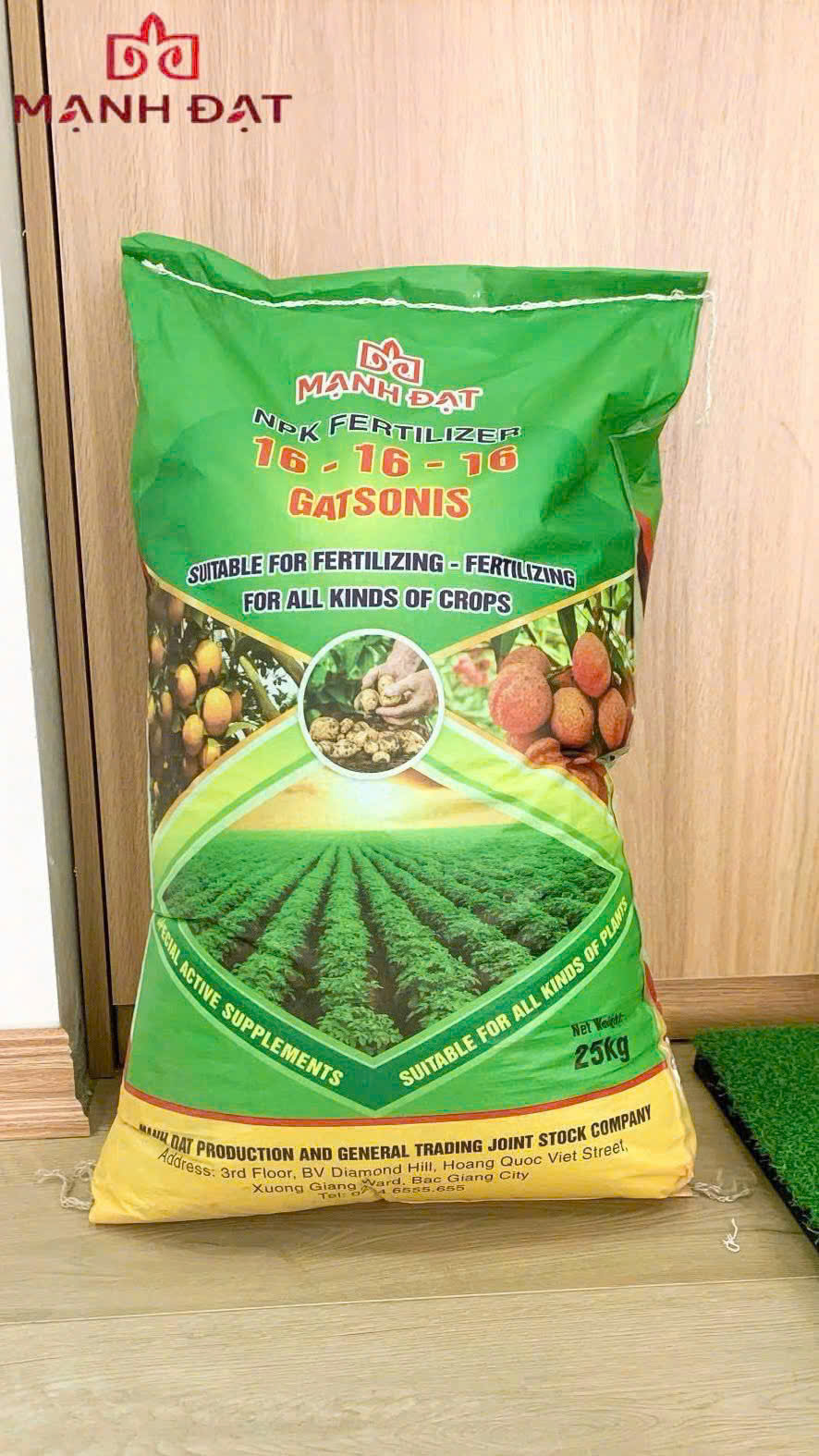 VƯỜN QUẤT HỢP TÁC SỬ DỤNG PHÂN BÓN MẠNH ĐẠT – CHUẨN BỊ TẾT 2026!